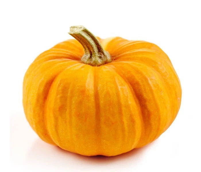 Fresh Yellow Pumpkin Seeds (Cucurbita moschata) – 100++ Premium Heirloom Yellow Pumpkin / Sweet Tropical Squash Seeds for Planting