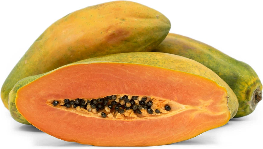Maradol Papaya Seeds (Carica papaya 'Maradol') – 150+ Premium Fresh Sweet Salmon-Red Maradol Papaya Seeds