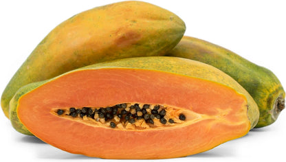 Maradol Papaya Seeds (Carica papaya 'Maradol') – 150+ Premium Fresh Sweet Salmon-Red Maradol Papaya Seeds