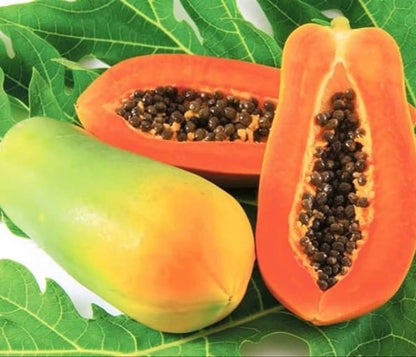 California Papaya Seeds (Carica papaya var. California) – Premium Sweet Red-Fleshed Pawpaw Fruit Seeds for Planting (150 Pcs)
