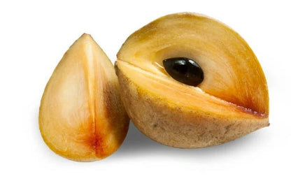 Sapodilla (Manilkara zapota) – 35+ Fresh Seeds