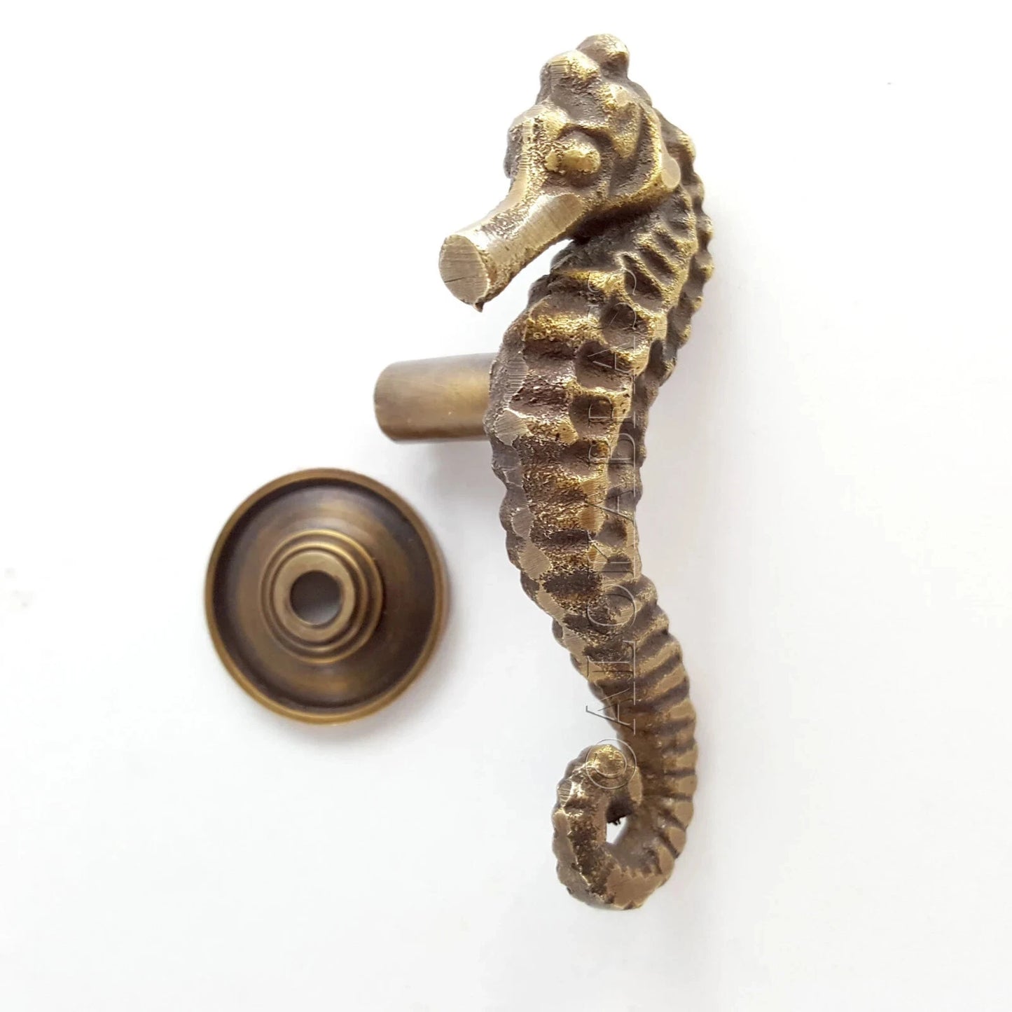 Small Solid Brass Seahorse Knobs - 3 Inch Premium Tropical Nautical Cabinet Hardware