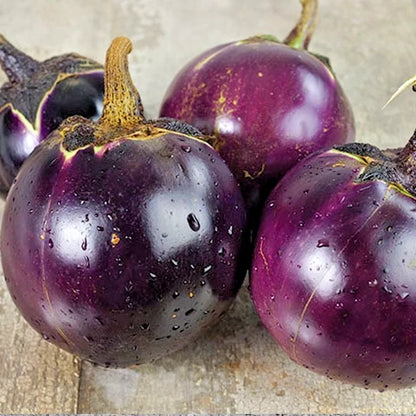 Purple Thai Eggplant Seeds (Solanum melongena) – 5,000+ Bulk Premium Round Eggplant Seeds
