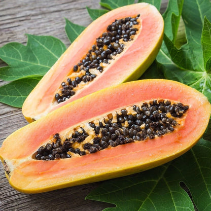 Red Paris Papaya Seeds (Carica papaya 'Red Paris') – Premium Fresh Rare Sweet Red Paris Papaya Seeds