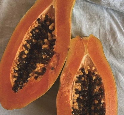 Meoslaen Papaya Seeds (Carica papaya 'Meoslaen') – 150 pcs Premium Fresh Rare Sweet Island Papaya Seeds for Planting