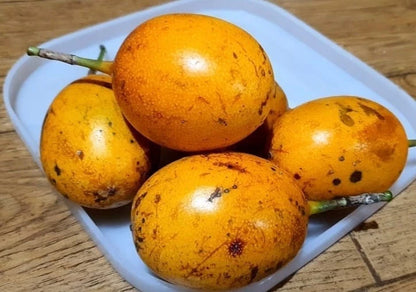 Konyal Passion Fruit Seeds (Passiflora edulis 'Konyal') – Premium Certified Tropical Edible Fruit Vine Seeds for Planting