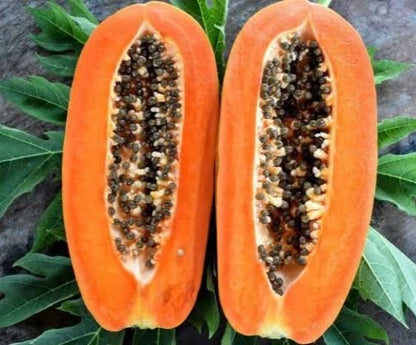 Extra Sweet Arum Bogor Papaya Seeds (Carica papaya) – High-Yield Tropical Fruit Seeds for Planting