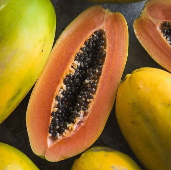 Premium Formosa Variety Papaya Seeds (Carica papaya var. Formosa) – Sweet Red Flesh Tropical Fruit Tree Seeds for Planting (150+ Pcs)