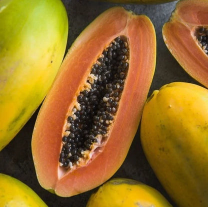 Premium Formosa Variety Papaya Seeds (Carica papaya var. Formosa) – Sweet Red Flesh Tropical Fruit Tree Seeds for Planting (150+ Pcs)