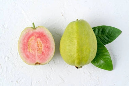 Red Crystal Guava Seeds (Psidium guajava 'Red Crystal') – Premium Certified High-Yield Specialty Sweet Tropical Fruit Tree Seeds for Planting (1000+ Pcs)