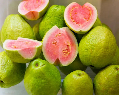 Superior Red Guava Seeds (Psidium guajava) – Premium Certified Tropical Fruit Tree Seeds for Planting