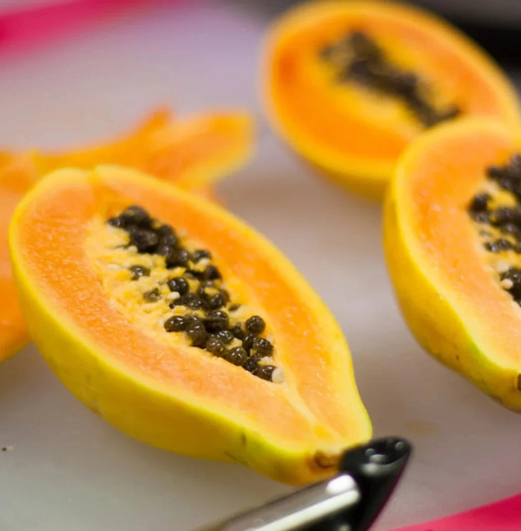 Premium 'Canary' Papaya Seeds (Carica papaya) – Elite Dwarf-Type Sweet Papaya Heirloom Seeds (150+ Count)