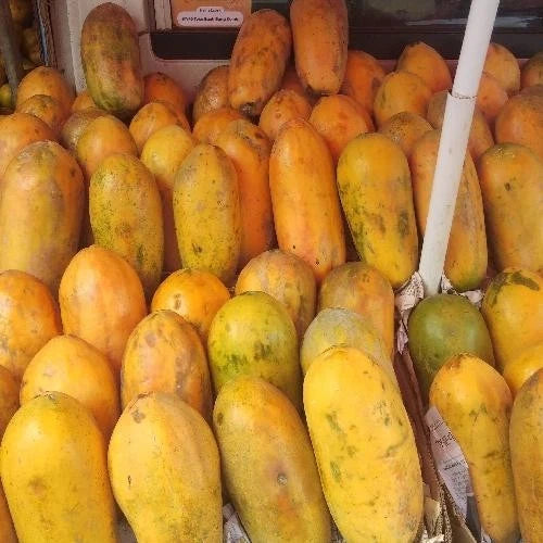 Extra Sweet California Papaya Seeds (Carica papaya) – Fast-Growing Tropical Fruit Seeds for Planting