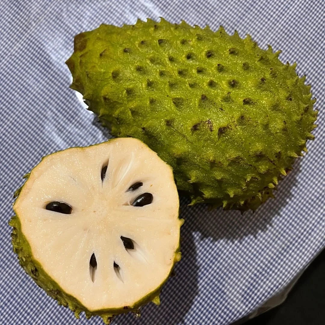 Madu Soursop Seeds (Annona muricata / 1000+ Sweet Honey Soursop Fruit Tree Seeds) – Premium Exotic Botanical Specimen Plant Seeds for Planting