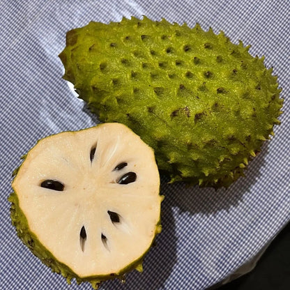 Madu Soursop Seeds (Annona muricata / 1000+ Sweet Honey Soursop Fruit Tree Seeds) – Premium Exotic Botanical Specimen Plant Seeds for Planting