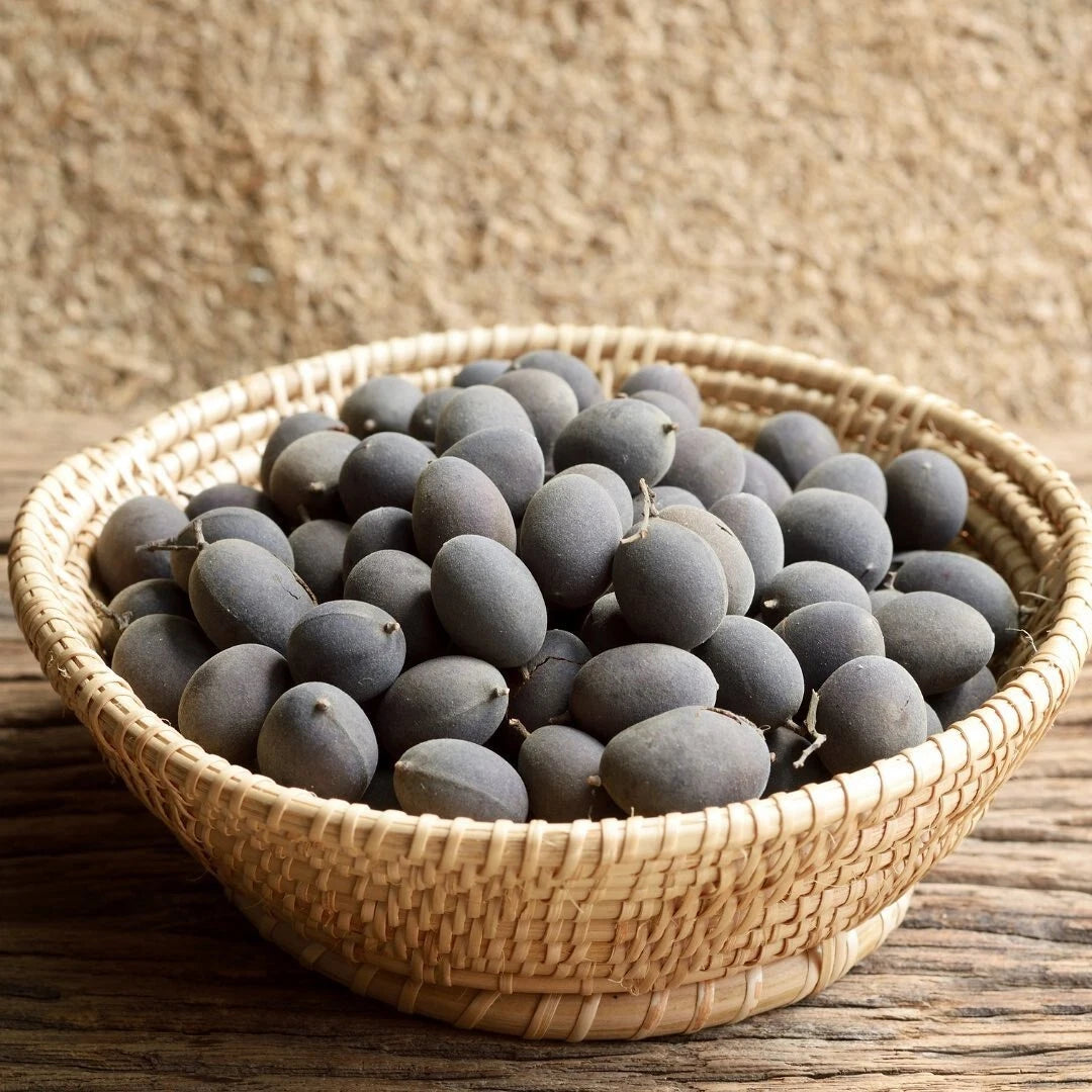 Velvet Tamarind Seeds (30+ Seeds) | Dialium indum | Exotic Tropical Tree Seeds | Rare Fruit Plant | Unique Garden Seeds