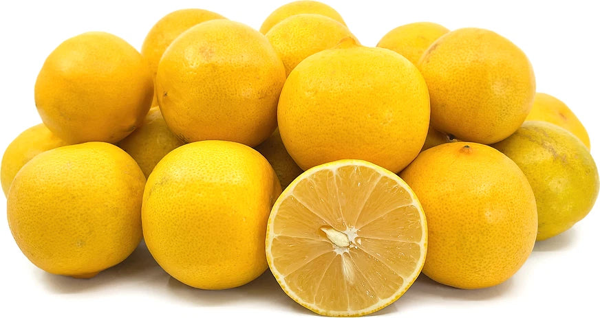 Premium Limonetta Sweet Lemon Seeds (Citrus limetta) – Sweet Mediterranean Citrus Fruit Tree Seeds for Planting (100+ Pcs)