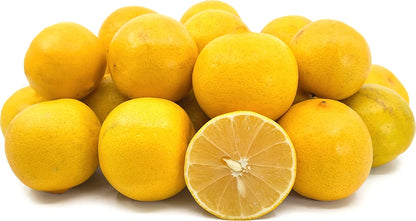 Premium Limonetta Sweet Lemon Seeds (Citrus limetta) – Sweet Mediterranean Citrus Fruit Tree Seeds for Planting (100+ Pcs)