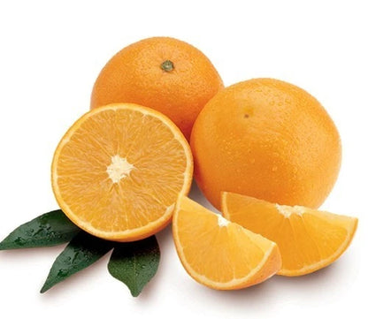 Valencia Orange Seeds (Citrus sinensis var. Valencia) – Premium Certified High-Yield Specialty Sweet Juice Orange Fruit Tree Seeds for Planting (100 Pcs)