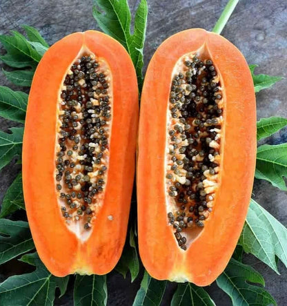 Honey Dew Papaya Seeds (Carica papaya 'Honey Dew') – 150+ Premium Fresh Ultra-Sweet Honey Dew Papaya Seeds