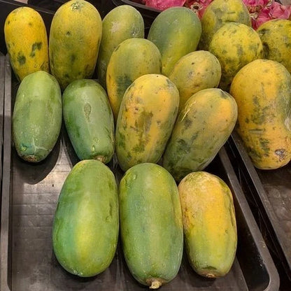 Red Delima Papaya Seeds (Carica papaya 'Red Delima') – 150 Premium Fresh Ultra-Sweet Vibrant Crimson Red Pawpaw Seeds
