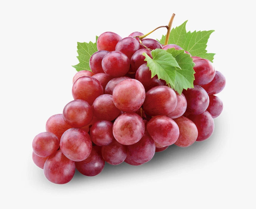 Red Globe Grape Seeds (Vitis vinifera 'Red Globe') – Premium Certified Large-Seeded Table Grape Fruit Vine Seeds for Planting