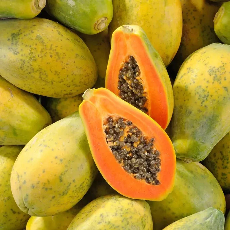 Exotica Papaya Seeds (Carica papaya var. Exotica) – Premium Sweet Red-Fleshed Tropical Fruit Tree Seeds for Planting (150 Pcs)