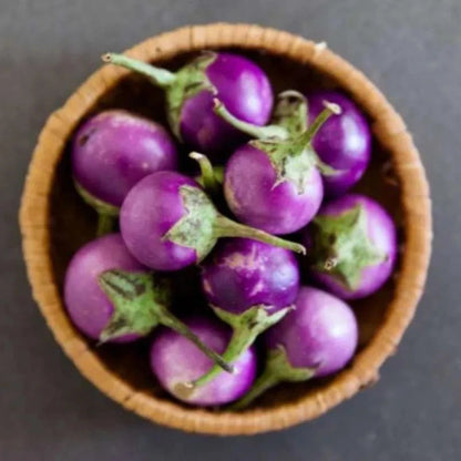 Round Purple Eggplant (Solanum melongena L.) – 1,000+ Premium Seeds