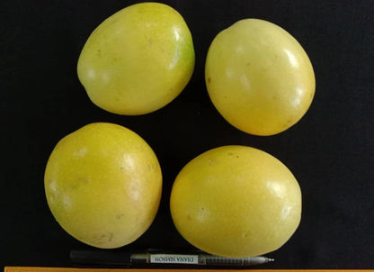 Yellow Passion Fruit (Passiflora edulis f. flavicarpa) – 150+ Premium Seeds