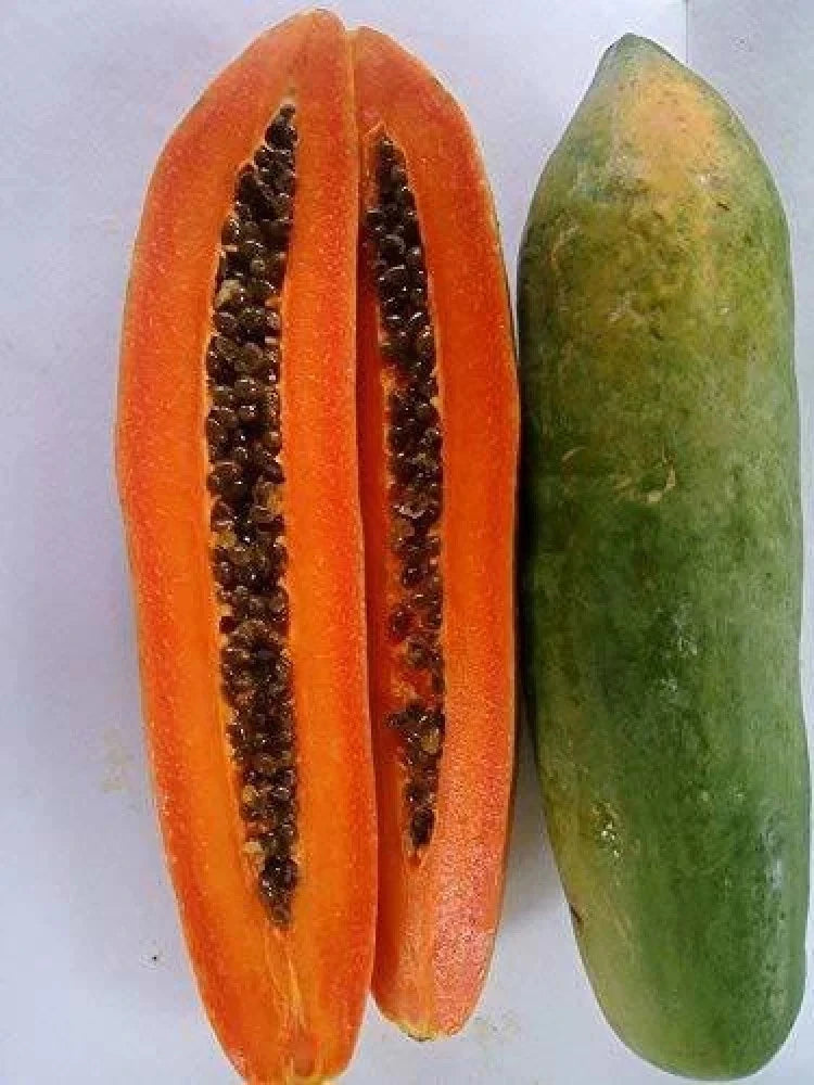 Kingsland Dwarf Papaya Seeds (Carica papaya var. Kingsland Dwarf) – Premium Sweet Red Pawpaw Tropical Fruit Tree Seeds for Planting (150 Pcs)