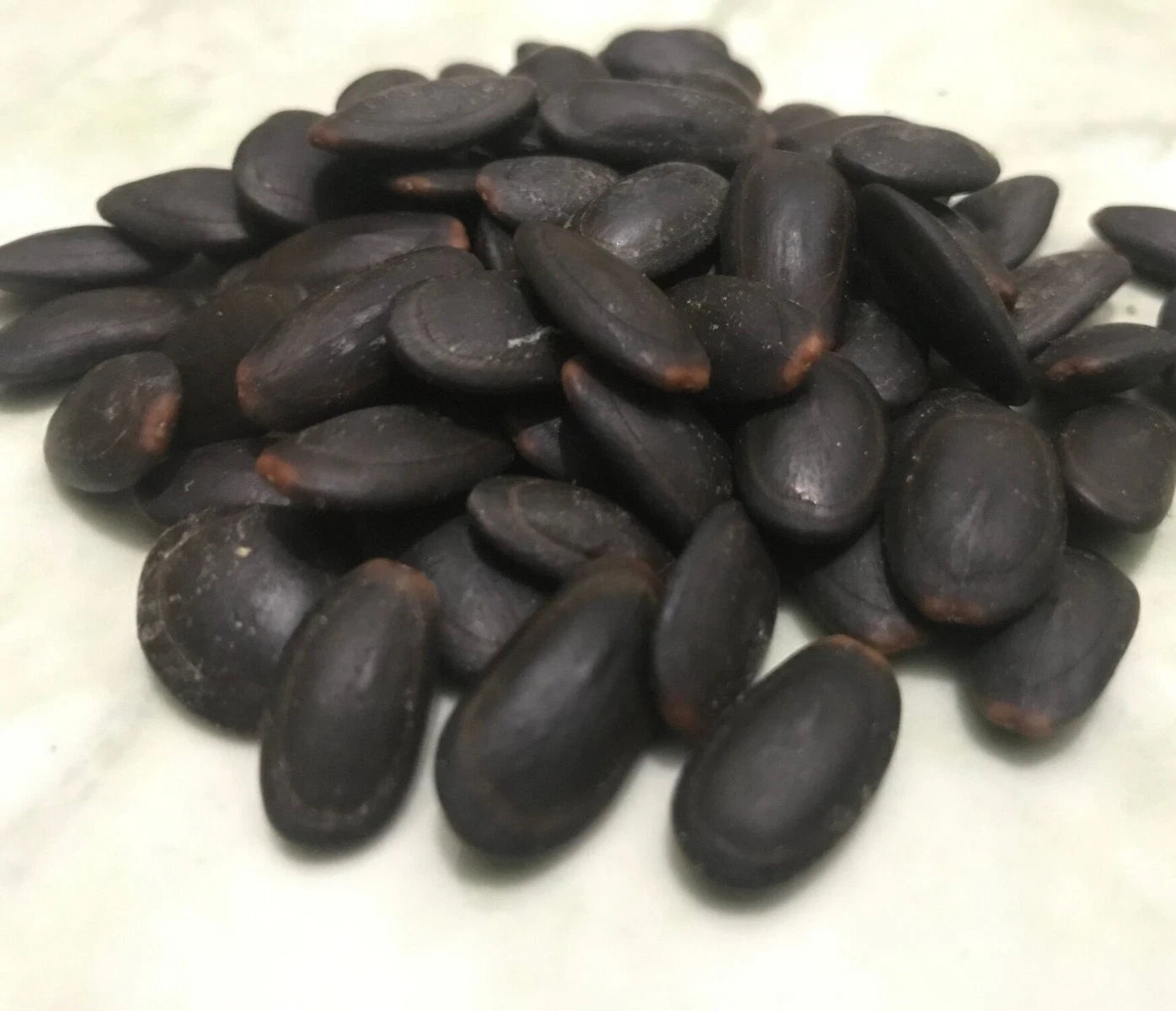 Indian Trumpet Tree Seeds (Parkia timoriana / 50+ Rare Tropical Forest Tree Seeds) – Premium Exotic Botanical Specimen Plant Seeds for Planting