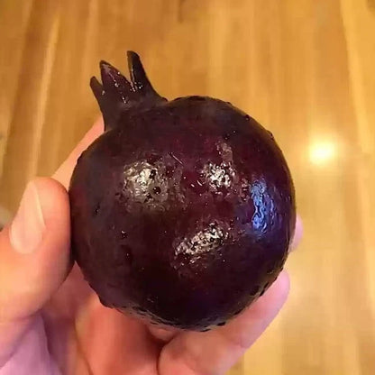 100+ Black Pomegranate Seeds (Punica granatum var. Black) – Premium Rare Dark Purple Fruit Tree & Orchard Seeds for Planting