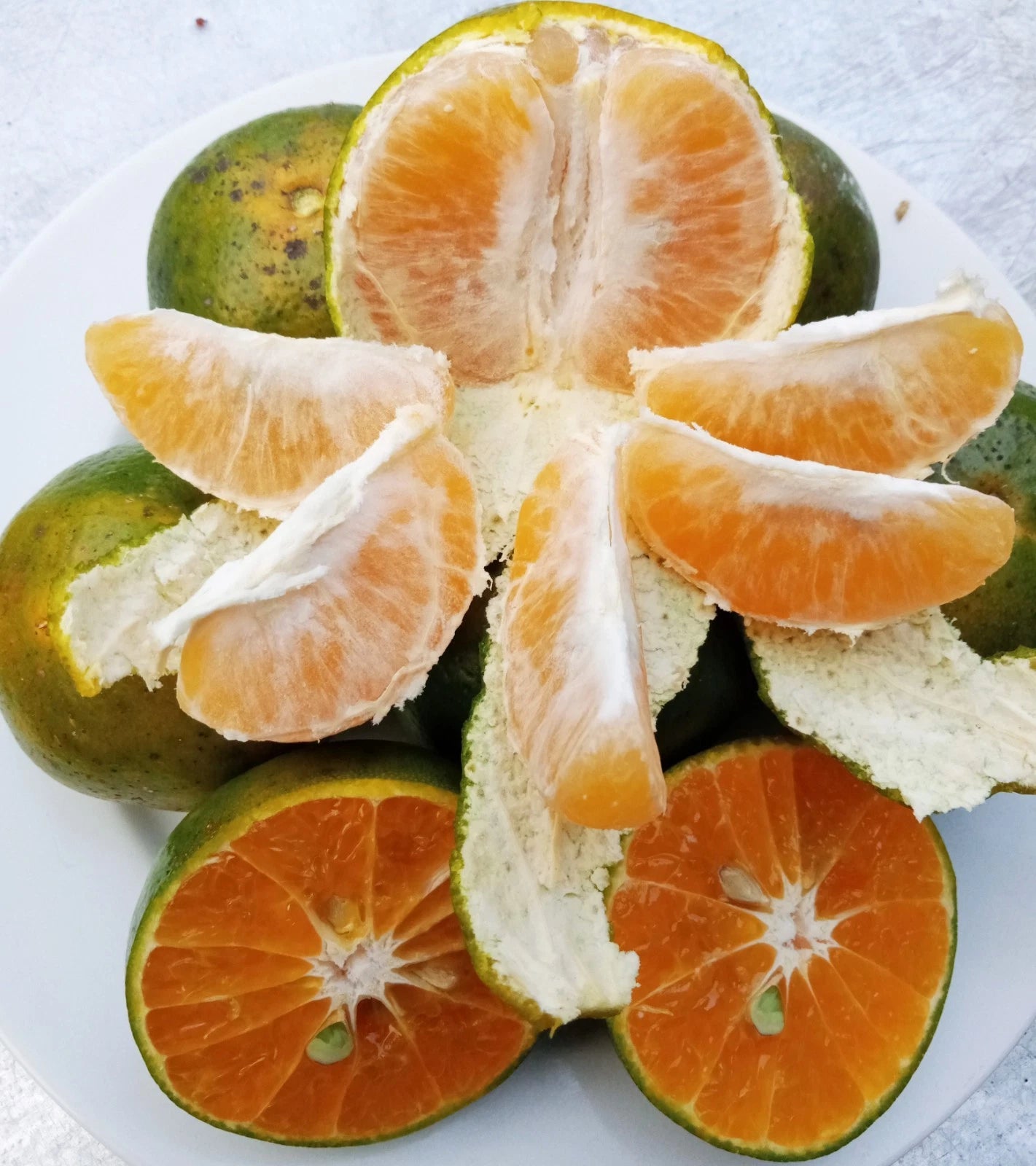 Siam Orange Seeds (Citrus sinensis) – Premium Certified High-Yield Sweet Citrus Fruit Tree Seeds for Planting (100 Pcs)