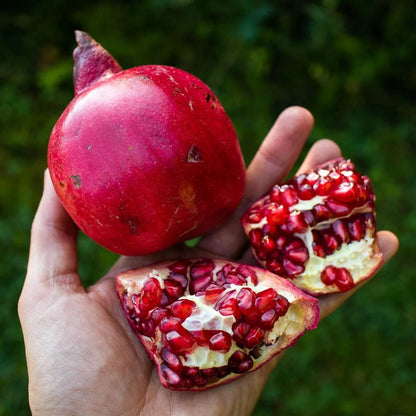 Bulk Ruby Pomegranate Seeds (Punica granatum 'Ruby') – 100+ Premium Fresh Rare Deep Red Gem Sweet Ruby Pomegranate Seeds for Planting