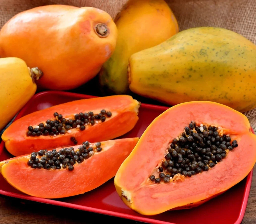 Wulung Papaya Seeds (Carica papaya var. Wulung) – Premium Purple Pawpaw Sweet Tropical Fruit Tree Seeds for Planting (150 Pcs)