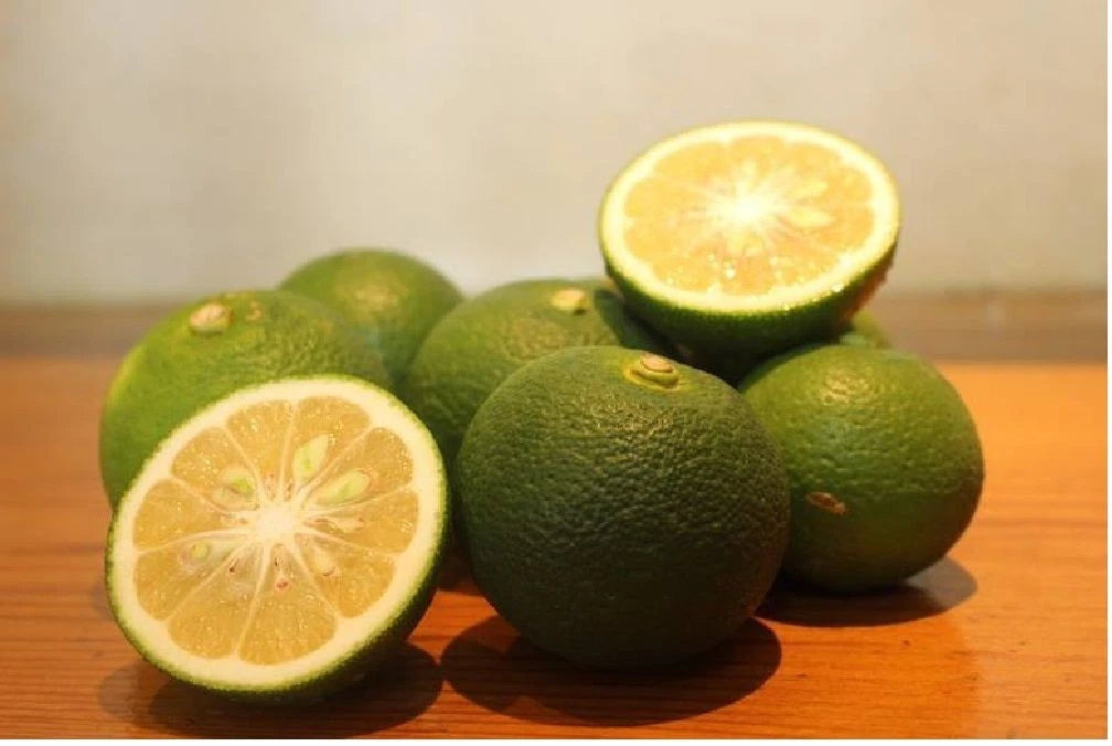 Kabosu Lime Seeds (Citrus sphaerocarpa / 100+ Premium Japanese Tart Citrus Fruit Seeds) – Premium Exotic Botanical Specimen Plant Seeds for Planting