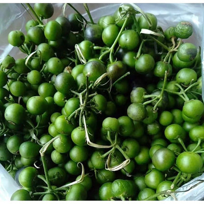 1000+ Black Nightshade Berry Seeds (Solanum nigrum) – Certified Leunca Eggplant & Solanaceae Fruit Crop Seeds for Planting