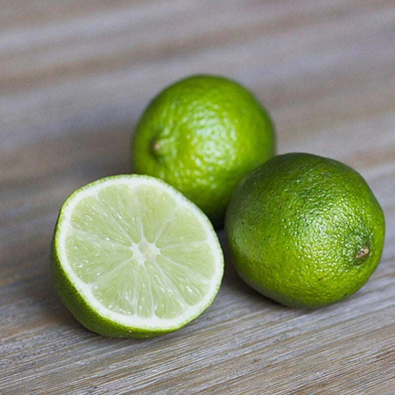 2,000+ Persian Lime Citrus Seeds (Citrus latifolia) – Premium Tahiti Lime & Commercial Acid Citrus Fruit Tree Seeds for Planting