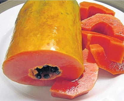 Bangkok Papaya Seeds (Carica papaya var. Bangkok) – Premium Sweet Red-Fleshed Pawpaw Fruit Seeds for Planting (150 Pcs)