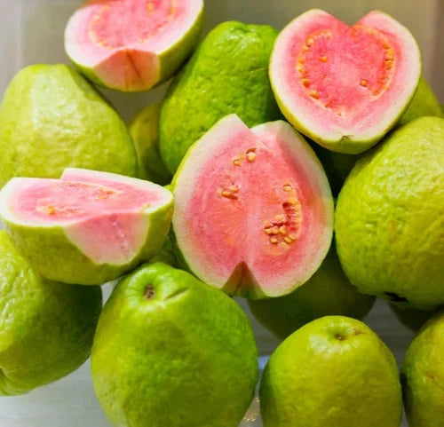 Superior Red Guava Seeds (Psidium guajava 'Superior Red') – 250+ Premium Fresh High-Yield Sweet Pink Guava Seeds