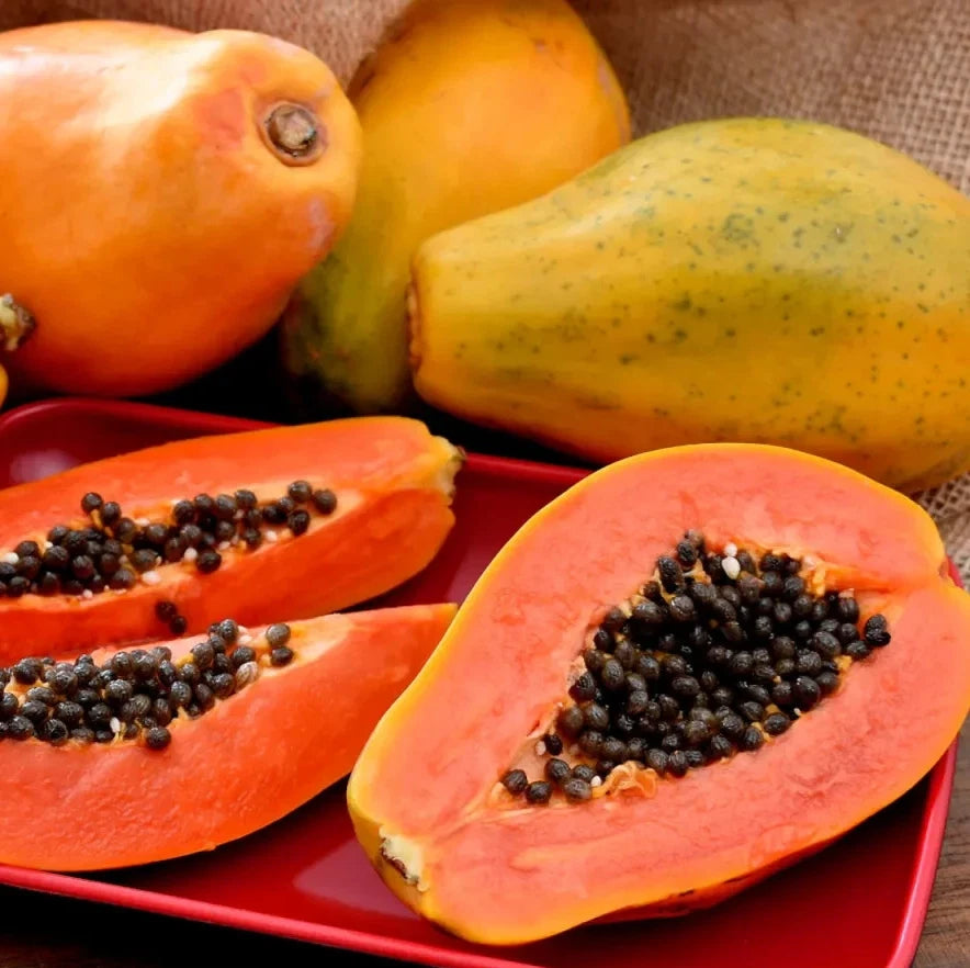 Wulung Papaya Seeds (Carica papaya) – Premium Certified High-Yield Sweet Tropical Papaya Fruit Tree Plant Seeds for Planting (100 Pcs)