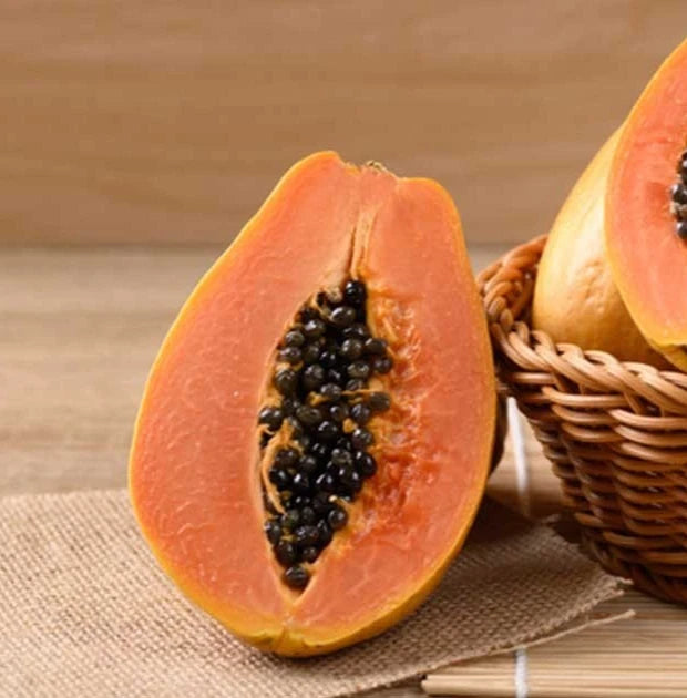 Rainbow Hawaii Papaya Seeds (Carica papaya 'Rainbow') – 150 pcs Premium Fresh Rare Sweet Hawaiian Rainbow Papaya Seeds
