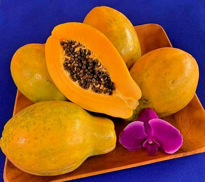 Diamond Head Hawaiian Papaya Seeds (Carica papaya / 150+ Premium Sweet Solo-Type Tropical Fruit Seeds) – Premium Exotic Botanical Specimen Plant Seeds for Planting