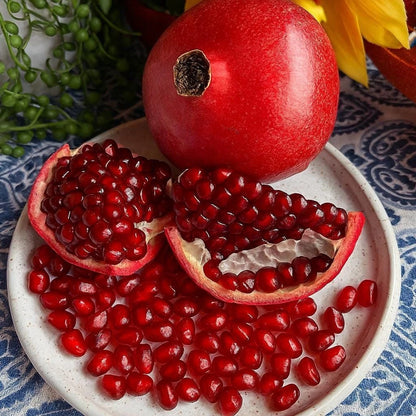 Ruby Pomegranate Seeds (Punica granatum) – 100 Premium Grenadine Seeds