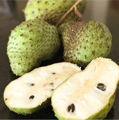 100+ Arusha Soursop Seeds (Annona muricata) – Elite 'Sweet Arusha' Genetic Stock (Collectors Quality)