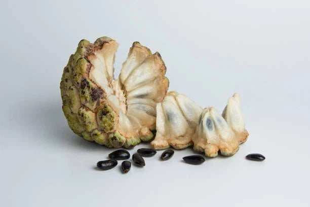 Sugar Apple (Annona squamosa) – 100+ Premium Seeds