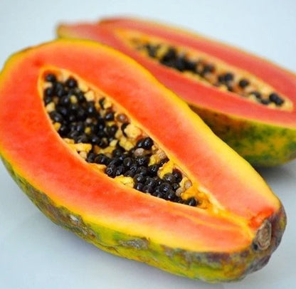 Red Delima Papaya Seeds (Carica papaya 'Delima') – Premium Fresh Rare Sweet Ruby-Fleshed Red Delima Papaya Seeds for Planting