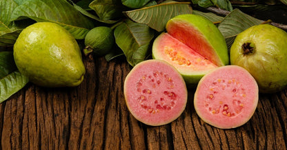 Red Manila Guava Seeds (Psidium guajava) – Premium Certified Tropical Fruit Tree Seeds for Planting
