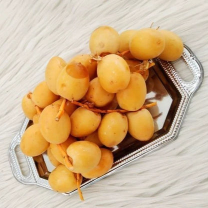 Sukkari Date Palm Seeds (Phoenix dactylifera) – 35+ Premium Royal Sweet Gold Date Seeds