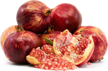 Ganesh Pomegranate Seeds (Punica granatum var. Ganesh Red / 100+ Premium Soft-Seeded Fruit Tree Seeds) – Exotic Botanical Specimen Plant Seeds for Planting
